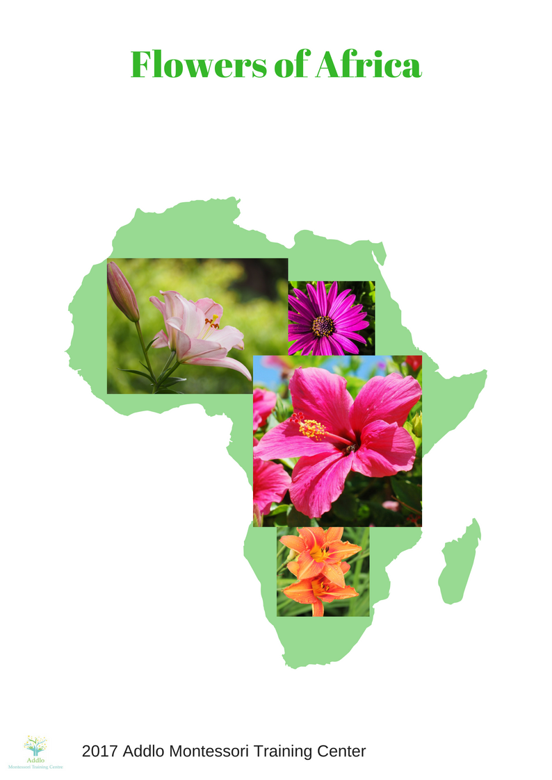 Flowers of Africa (3)