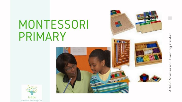 Black and Grey Resume Professional Presentation